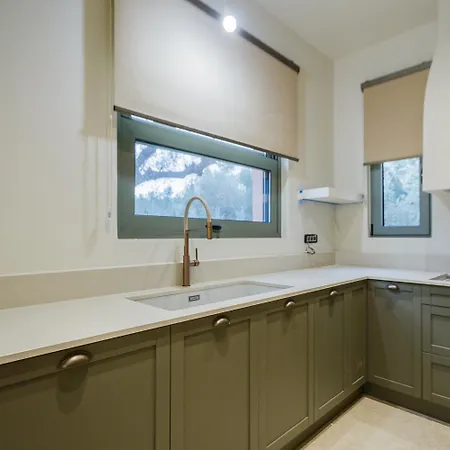 Analidia Supreme * 蒂锡利维